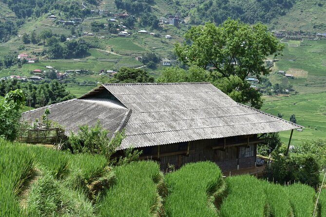 1-Day Private Trekking in Sapa through Terraces Rice Fields - FAQ