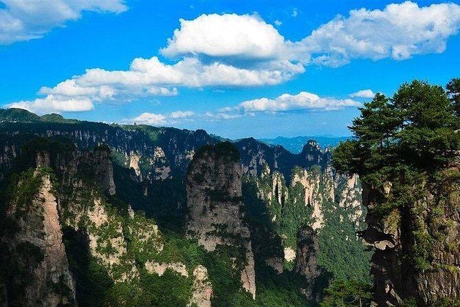1-Day Private Zhangjiajie National Park Tour & AVATAR Mountain - Authentic Insights from Reviewers