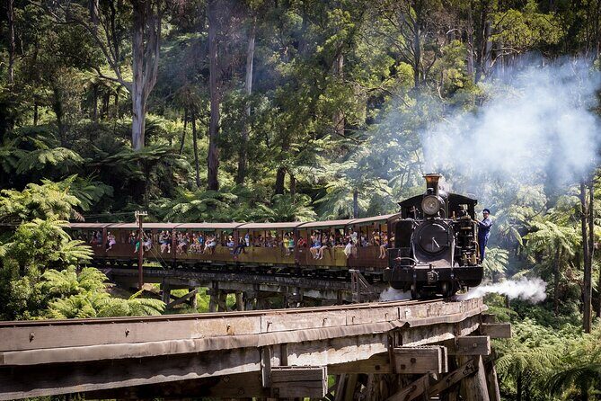 1 day Puffing Billy Steam Train and Wildlife Tour from Melbourne - Transportation and Group Size