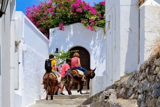 1 Day Rhodes Island Tour with Olive Oil, Honey and Wine Tasting - Final Thoughts