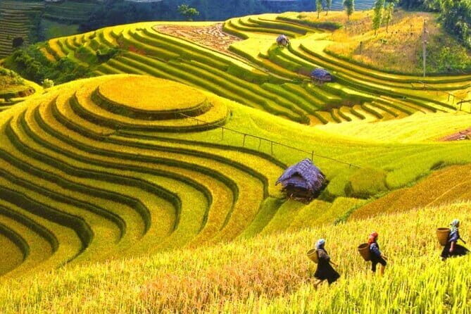 1 Day Sapa Tour Explore Y Linh Ho And Lao Chai And Ta Van Village - Detailed Review of the 1-Day Sapa Tour