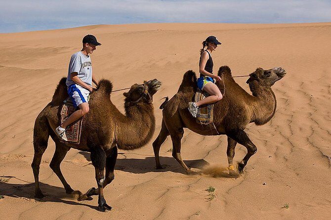 1 Day Semi-Gobi All-included tour - Experience the Semi-Gobi All-included Tour: A Detailed Look