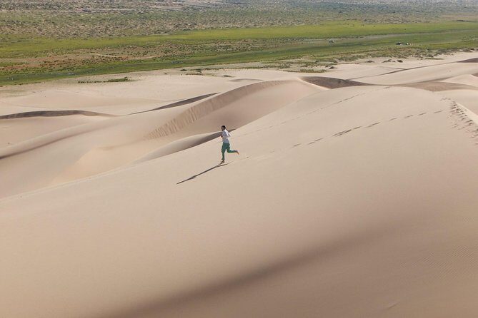 1 Day Semi-Gobi Tour Including Lunch And Free Camel +Bonus Khustai National Park - What Makes This Tour Stand Out
