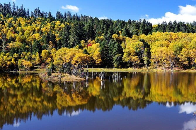 1-Day Shangri-La Private Tour: Potatso National Park and Baiji Temple - Practical Details and Why They Matter