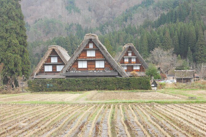 1-Day Shirakawago & Takayama Tour (Round Trip from Kanazawa) - Introduction