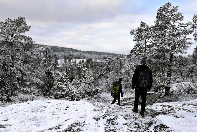 1-Day Small-Group Stockholm Nature Hiking - Exploring Stockholm’s Nature with a Guided Hike