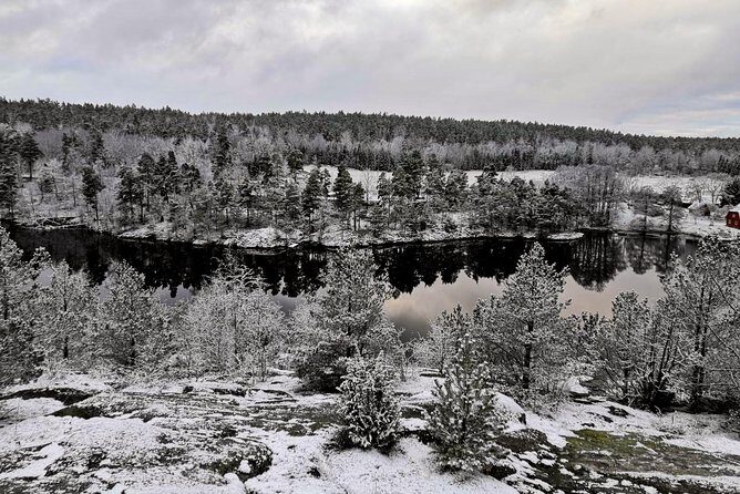 1-Day Small-Group Stockholm Nature Hiking - Key Points