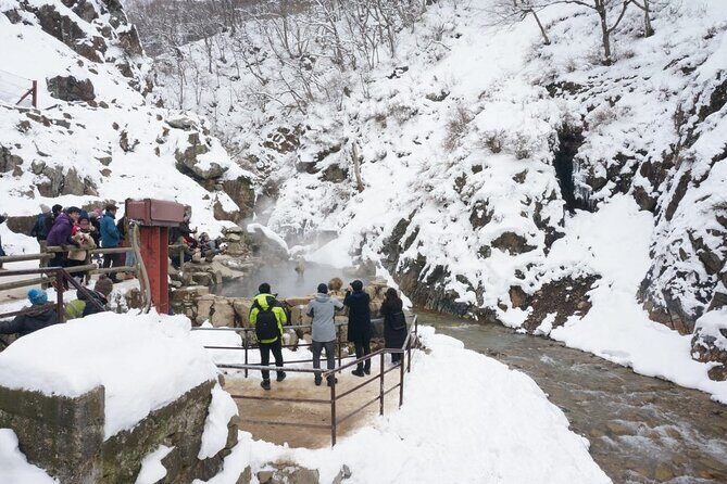 1-Day Snow Monkeys, Zenko-ji Temple & Sake in Nagano - The Sum Up