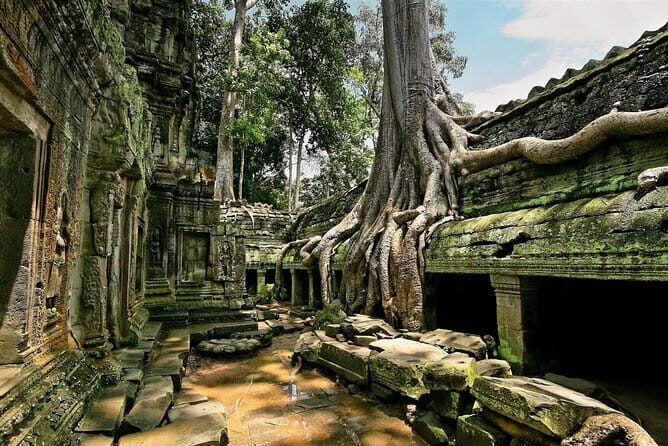 1 day special Tour: Angkor Wat,Bayon,Ta Prohm, Bantey srei and Beng Mealea - Who Should Consider This Tour?