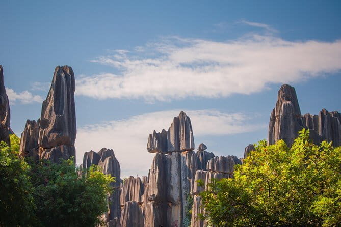 1-Day Stone Forest Geological Park Private Tour with the Lunch from Kunming - A Closer Look at the 1-Day Stone Forest Tour Experience