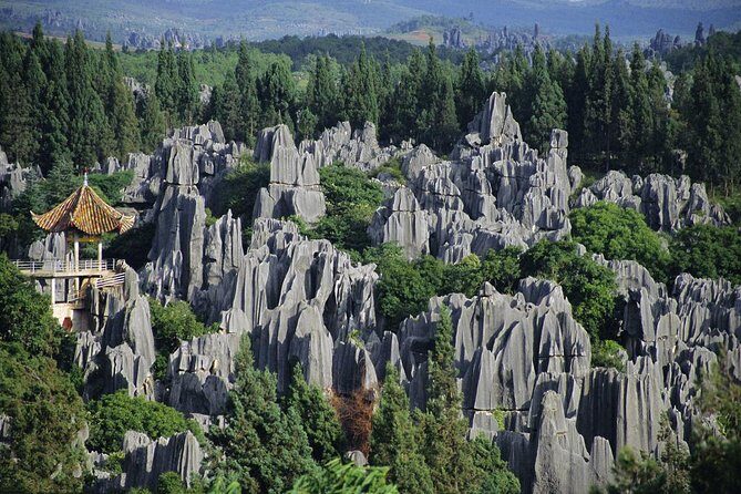 1 Day Stone Forest & Jiuxiang Cave Tour - Final thoughts: Is this tour worth it?