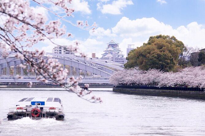 1 Day Takoyaki Making and Osaka Castle Walking Tour - A Detailed Look at the Tour Experience