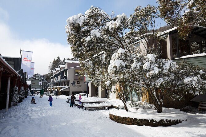 1 Day Thredbo Snow Tour From Sydney - Is This Tour Worth It?