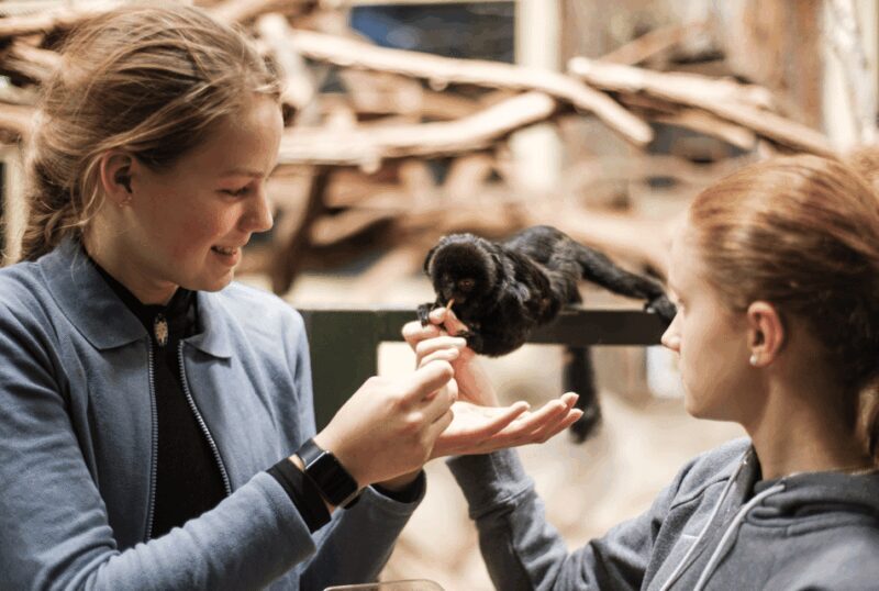 1-day ticket for Schwerin Zoo - Who Will Love Schwerin Zoo?