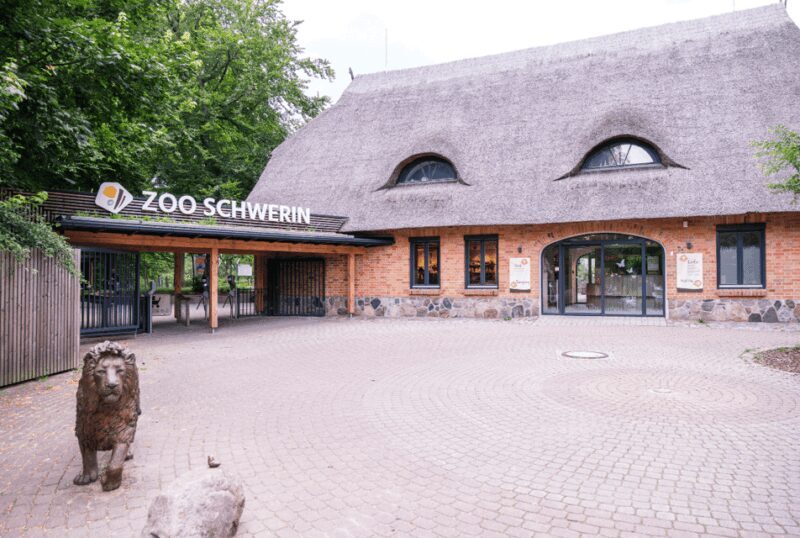 1-day ticket for Schwerin Zoo - The Sum Up