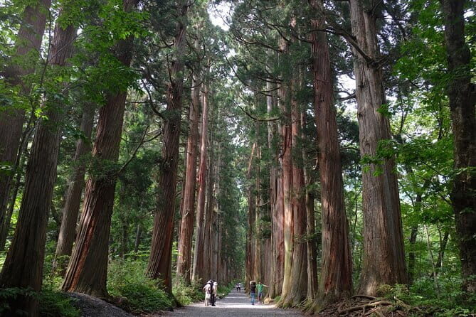 1-Day Togakushi Tour: Soba making, Ninja Town, and Hidden Shrines - Exploring the Magic of Togakushi: Soba, Ninjas, and Shrines