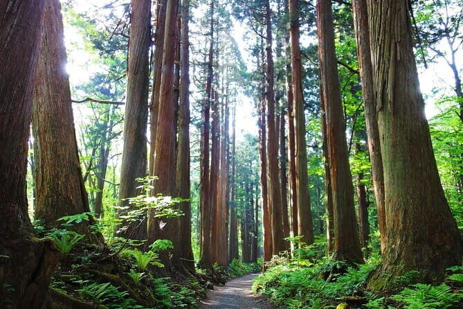 1-Day Togakushi Tour: Soba making, Ninja Town, and Hidden Shrines - FAQ