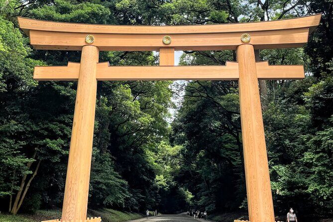 1-Day Tokyo Bus Tour - Transportation & Group Dynamics