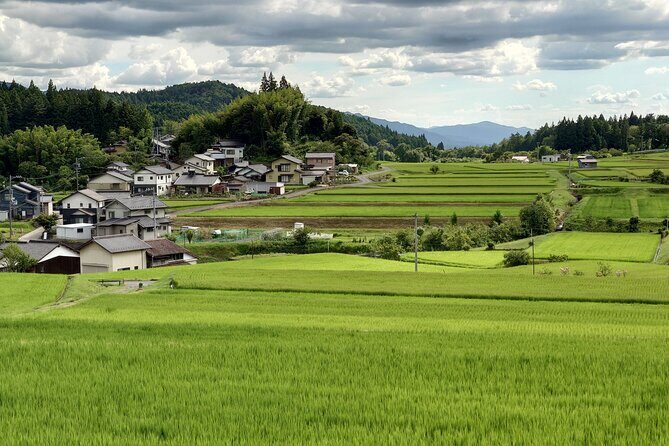 1-Day Tour from Matsumoto: Walk the Nakasendo Trail - The Sum Up
