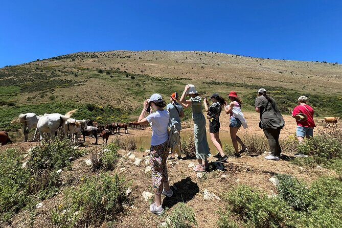 1-Day Tour in Blue Eye, Monastery, Gjirokaster and Lekursi Castle - An In-depth Look at the Itinerary