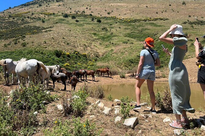 1-Day Tour in Blue Eye, Monastery, Gjirokaster and Lekursi Castle - FAQ