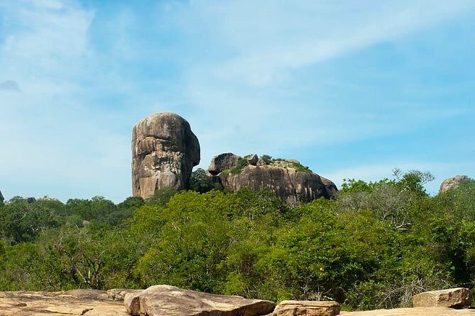 1 Day tour to Yala National Park or Udawalawe National Park - A Final Word