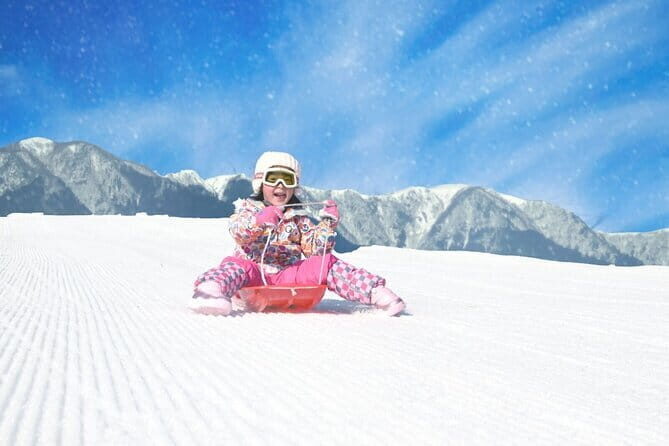 1 Day Tour Traditional Igloo Kamakura Festival and Snow Fun - Reflection Based on Reviews