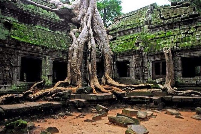 1-Day Tour with Private Transportation and English Speaking Guide - Authentic Insights from Previous Travelers