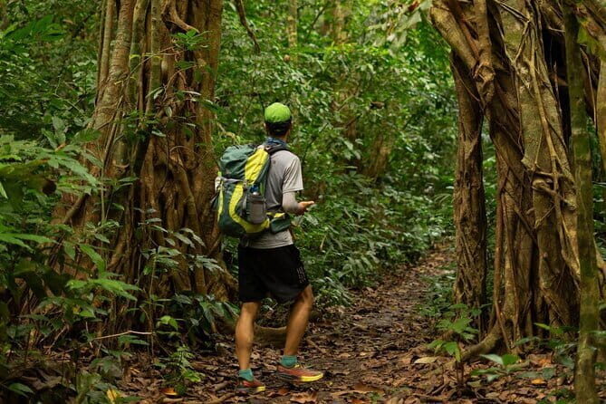 1 Day Trekking & Biking: Explore the Beauty Cat Ba National Park - Authentic Experiences and Unique Insights from Reviews