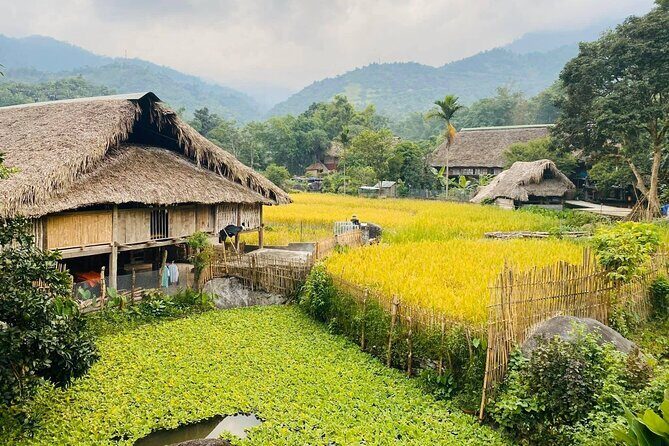 1 Day Trekking Tour in Ha Giang with Local Experts - Who Is This Tour Best For?