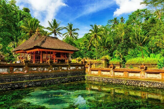 1-Day Ubud Tours All-Inclusive - Authentic Experiences and Cultural Insights