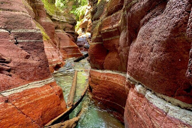 1 Day Waterton Lakes National Park Tour from Calgary - Deep Dive into the Itinerary