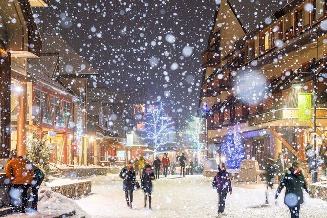1 day Whistler Tour from Vancouver Experience (chn&eng) - What’s Included and What’s Not
