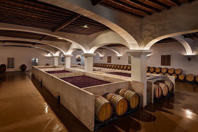 1 Day Wine Tour Around Évora - Final Thoughts