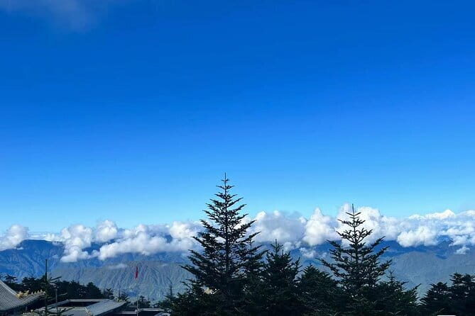 1 Day Wolong Panda Nature Reserve Tour - Practical Tips for Your Day Trip