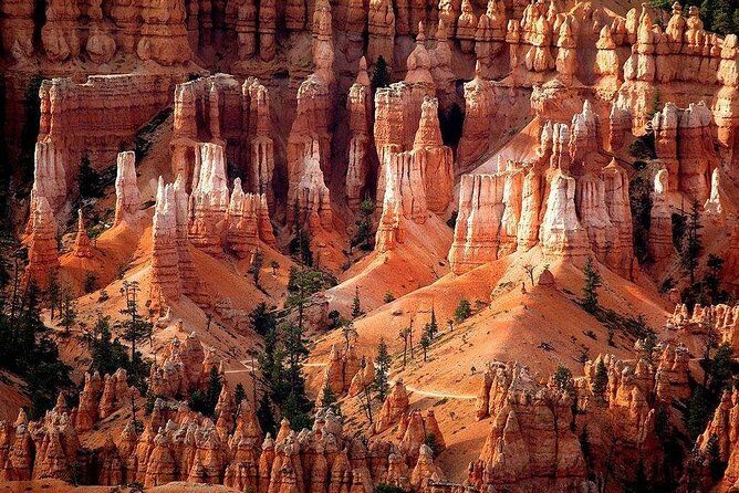 1-Day Zion & Bryce Canyon National Park Bus Tour - Key Points