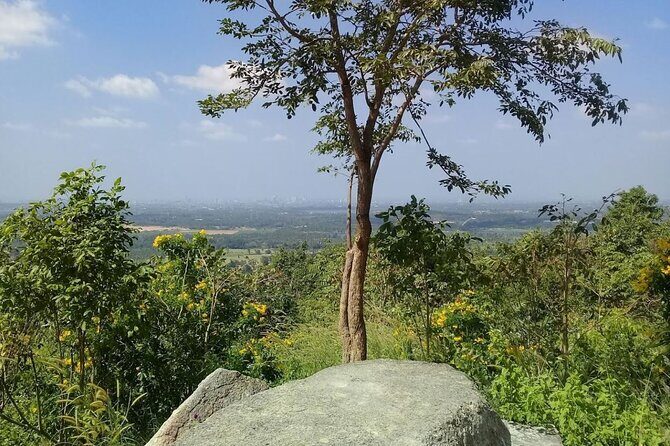 1 Hour ATV Off Road Adventure In Pattaya - Who Will Love This Experience?