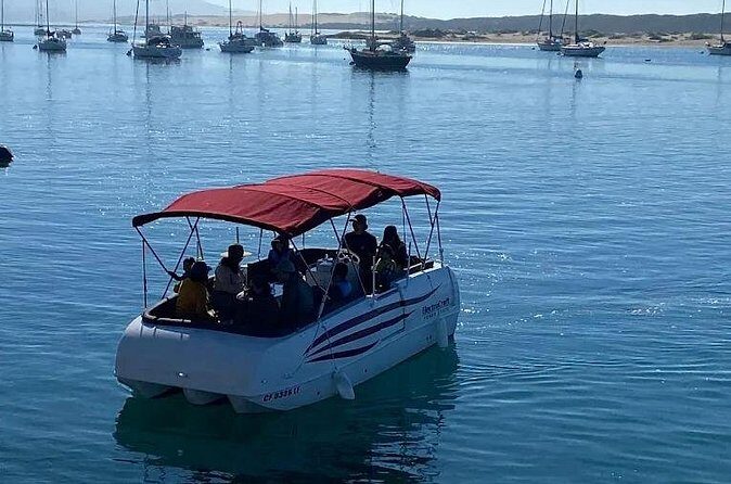 1 Hour Boat Rental - Why This Boat Rental Stands Out