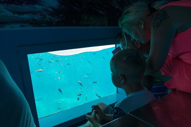 1-hour boat trip around the Port of Mahón - The Value of the Experience