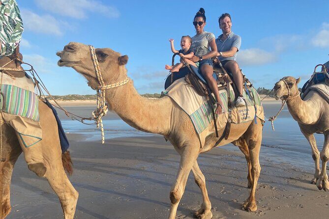 1 Hour Broome Sunset Camel Tour - Key Points