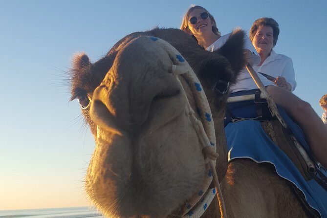 1 Hour Broome Sunset Camel Tour - The Sum Up