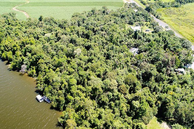 1-Hour Daintree River wildlife cruise - Final Thoughts