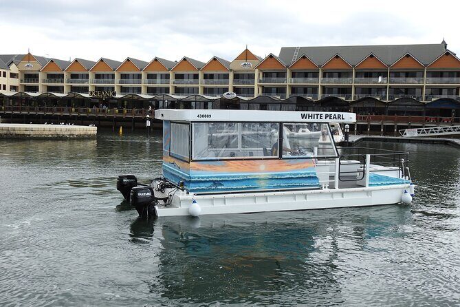 1 Hour Deluxe Scenic Dolphin Cruise - What Do Travelers Say?