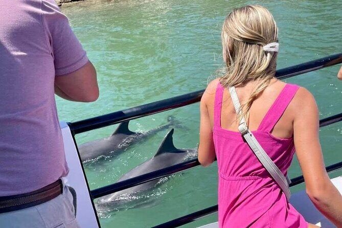 1 Hour Deluxe Scenic Dolphin Cruise - Analyzing the Value