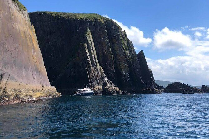 1 hour Dingle Bay Cliff Tour - Who Will Love This Tour?