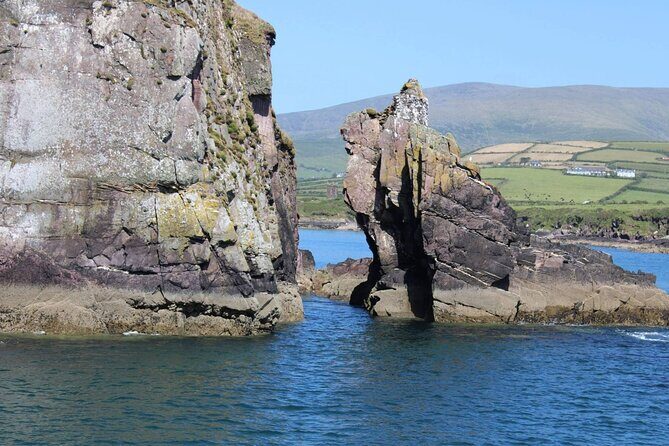 1 hour Dingle Bay Cliff Tour - Final Thoughts