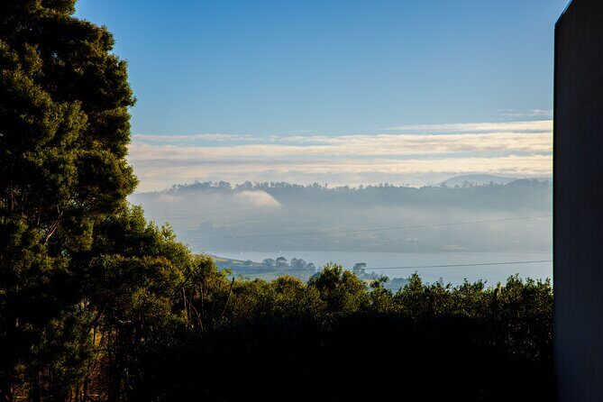 1 Hour Distillery Tour & Tasting in Turner Stillhouse - Who Should Consider This Tour?