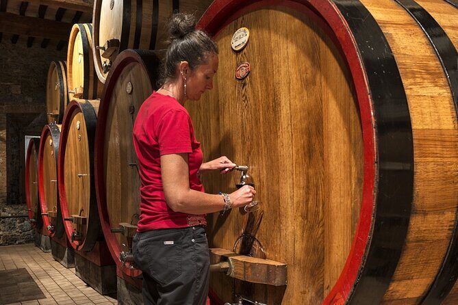 1-Hour Experience with Brunello. Visit to the Vineyard and Cellar - FAQs