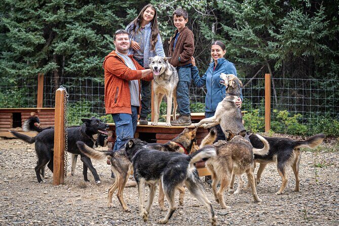 1 Hour Fall Sled Dog Experience in Two Rivers - The Value for Your Money