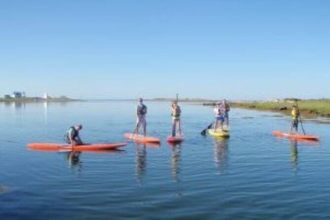 1 Hour Guided SUP/Kayak Tour in Pelican Bay at Fort Myers Beach - An In-Depth Look at the Tour Experience